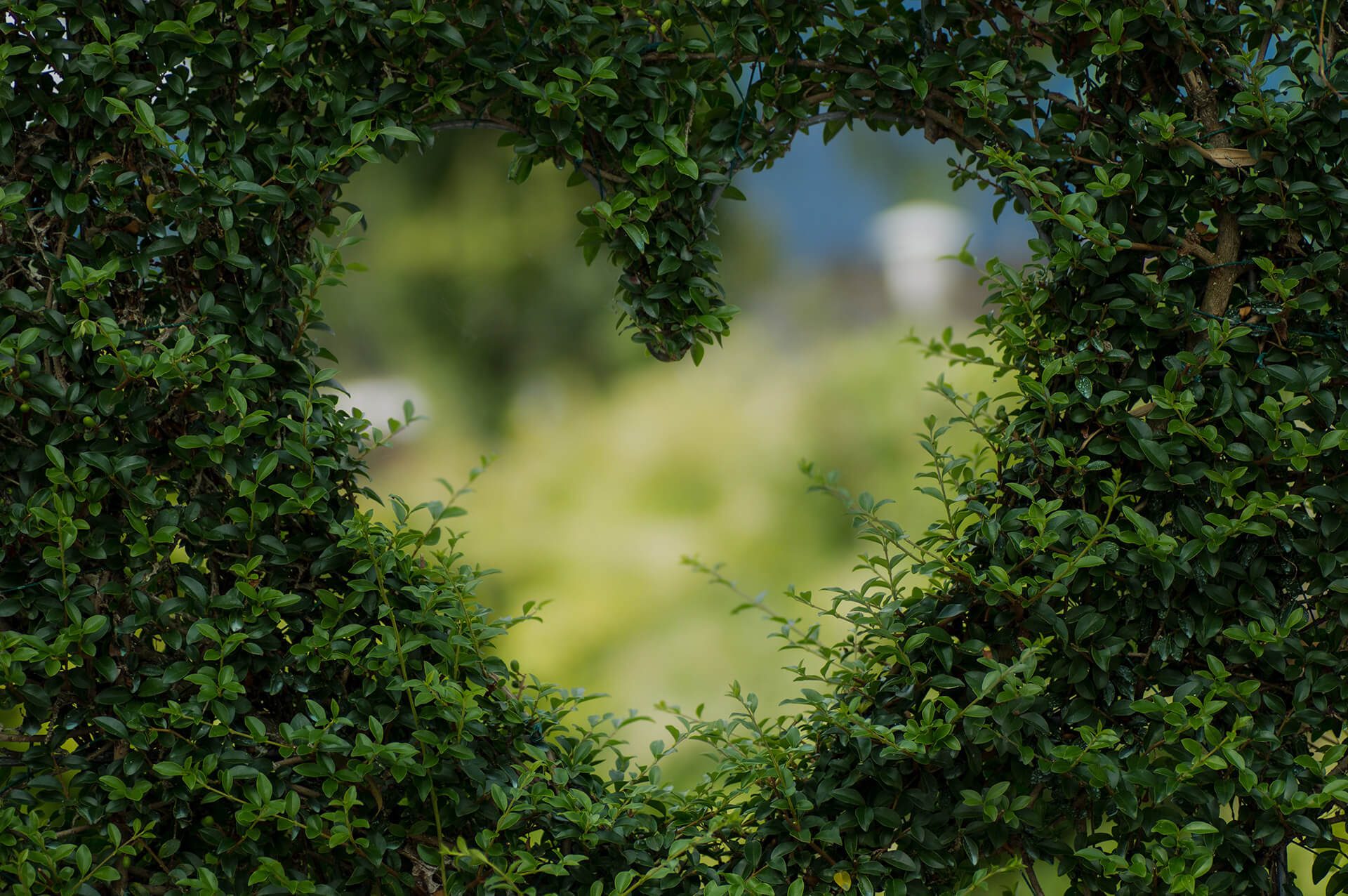 Heart shape Decor