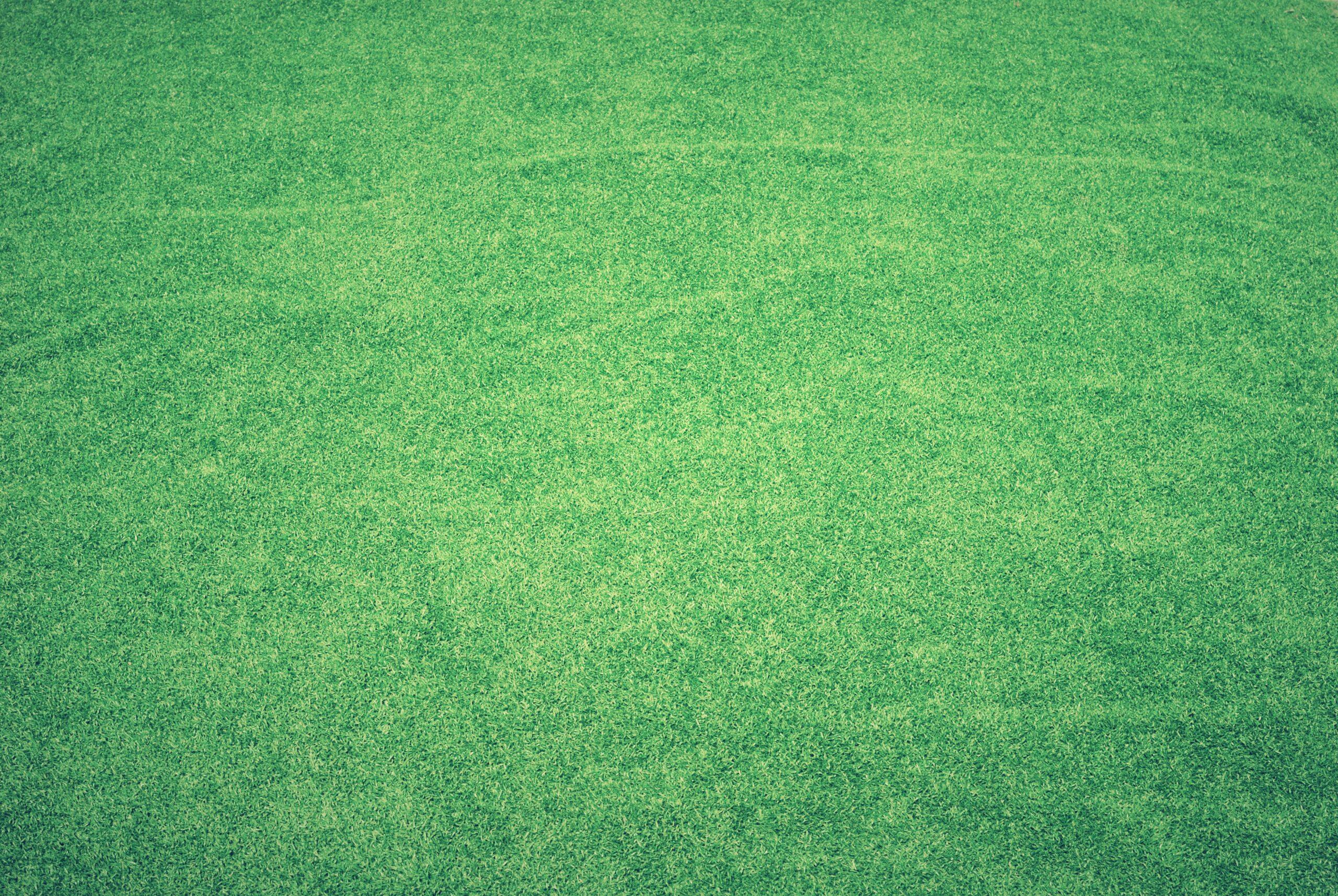 Green Artificial Turf