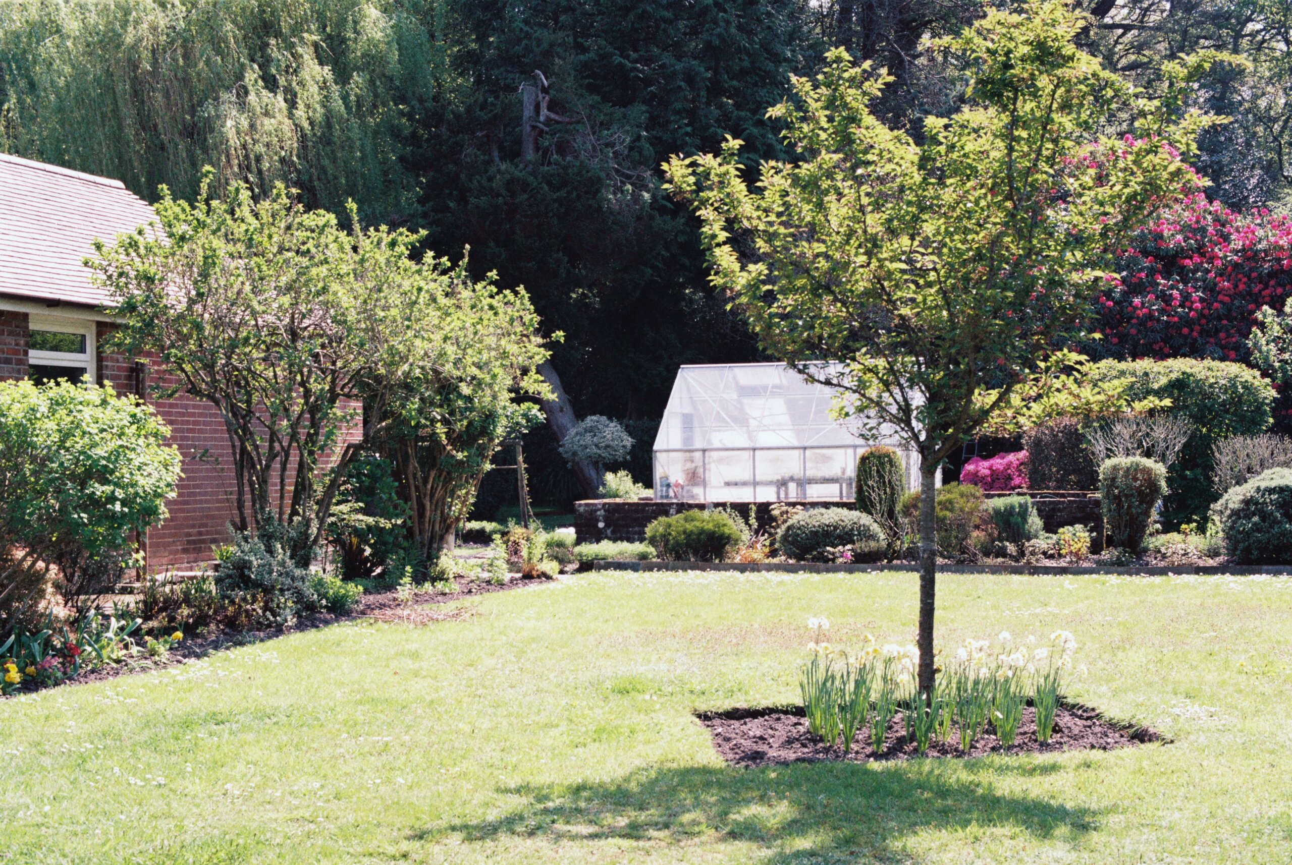 landscaped garden