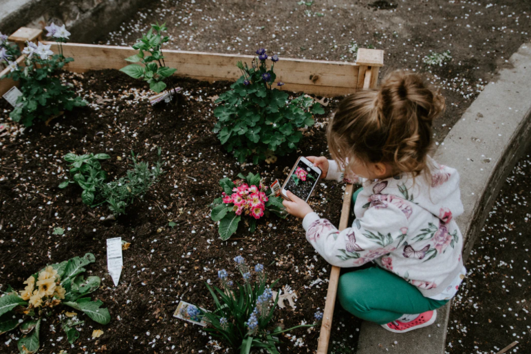 Garden Edging Tools