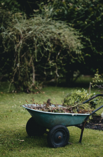 wheelbarrow with twigs on grass