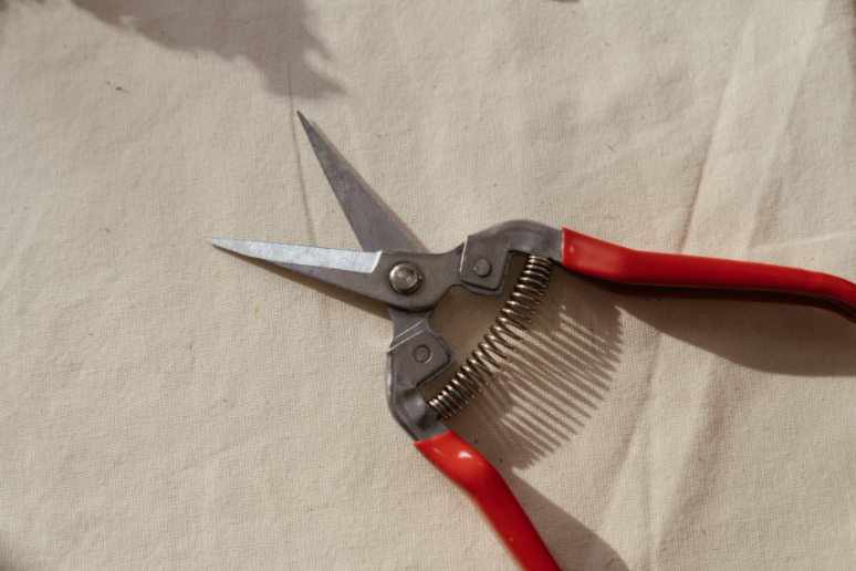 gardening tool name scissors