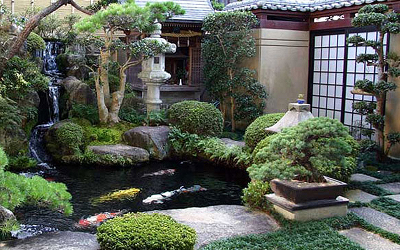 Water Garden Design