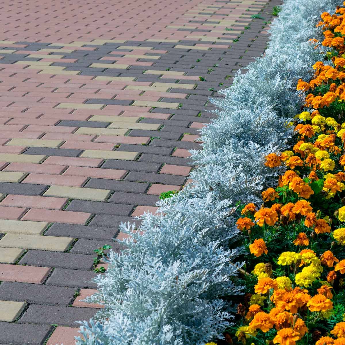 Landscaping Ideas For Driveways